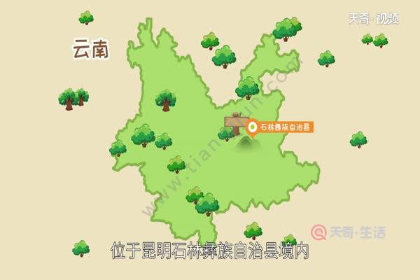 石林在哪里石林的简介